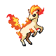 PONYTA